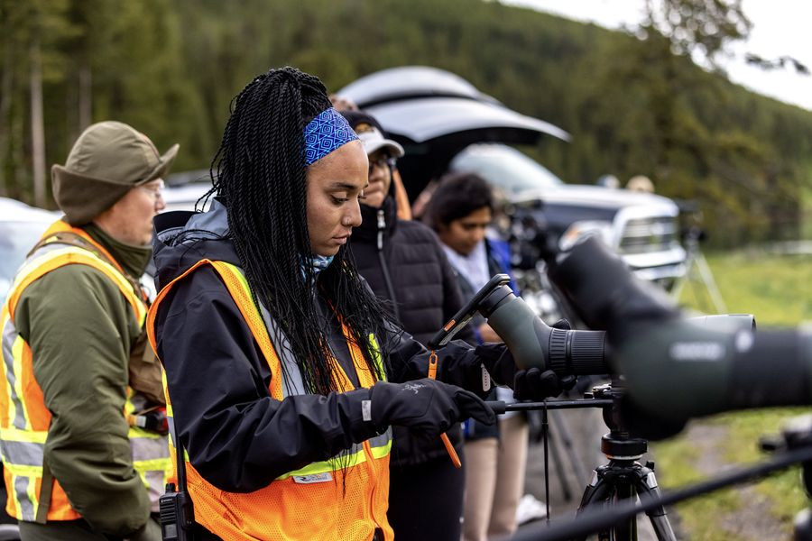 Taylor in a hi-vis vest at a spotting scope, with other watchers behind her