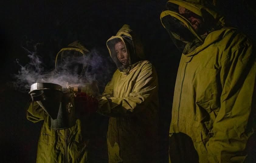 Three people in bee suits at night, one holding a smoker