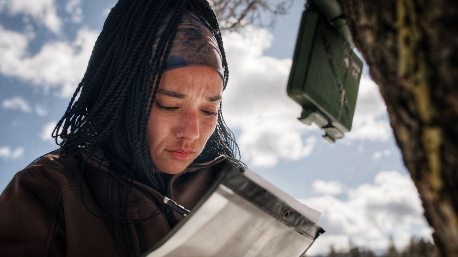 Taylor reading a data sheet beside a bioacoustics autonomous recording unit strapped to a tree